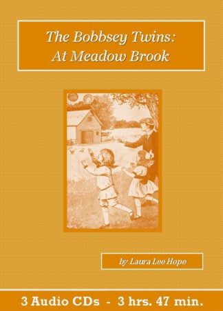 The Bobbsey Twins At Meadow Brook by Laura Lee Hope