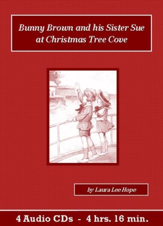 Bunny Brown and his Sister Sue at Christmas Tree Cove by Laura Lee Hope