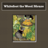 Whitefoot the Wood Mouse Audiobook by Thornton W. Burgess