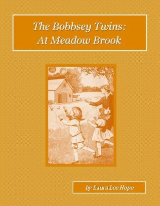 The Bobbsey Twins at Meadow Brook Audioboook by Laura Lee Hope