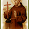 Flowers from the Garden of Saint Francis for Every Day of the Year Audiobook by St. Francis of Assisi