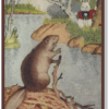 Adventures of Paddy Beaver by Thornton W. Burgess
