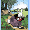 Adventures of Peter Cottontail by Thornton W. Burgess