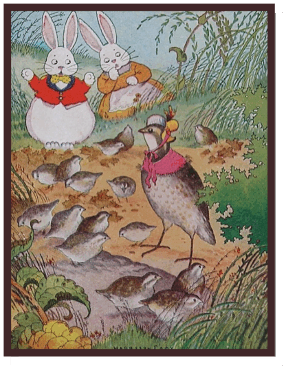 Adventures of Bob White by Thornton W. Burgess
