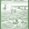 The Bobbsey Twins at the Seashore by Laura Lee Hope