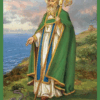 Collected Works of Saint Patrick Audiobook by St. Patrick