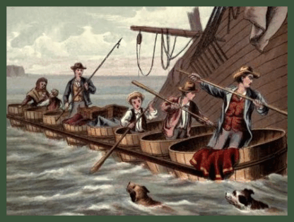 Swiss Family Robinson Audiobook by Johann David Wyss
